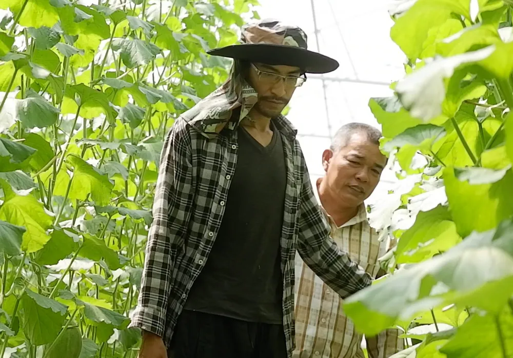 Anh Vũ Quốc Huy bên mô hình dưa lưới nhà màng