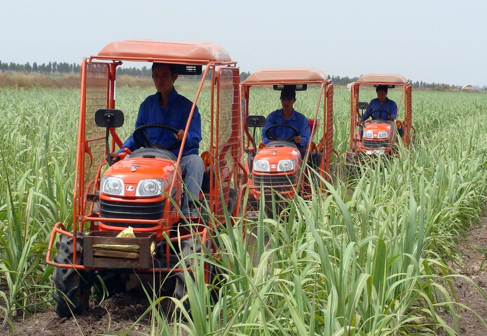 TTC AgriS trình diễn cơ giới hóa trong canh tác mía ở Tây Ninh. Ảnh: ĐẠI DƯƠNG ttc-agris-trinh-dien-co-gioi-hoa-trong-canh-tac-mia-o-tay-ninh-anh-dai-duong-9015.jpg