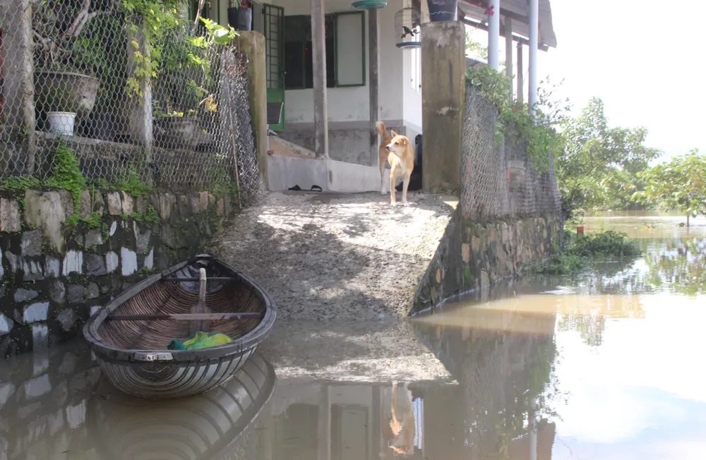 Lũ bất ngờ đổ về, cô lập trên 1.000 hộ dân ảnh 8 Lũ bất ngờ đổ về, cô lập trên 1.000 hộ dân ảnh 8