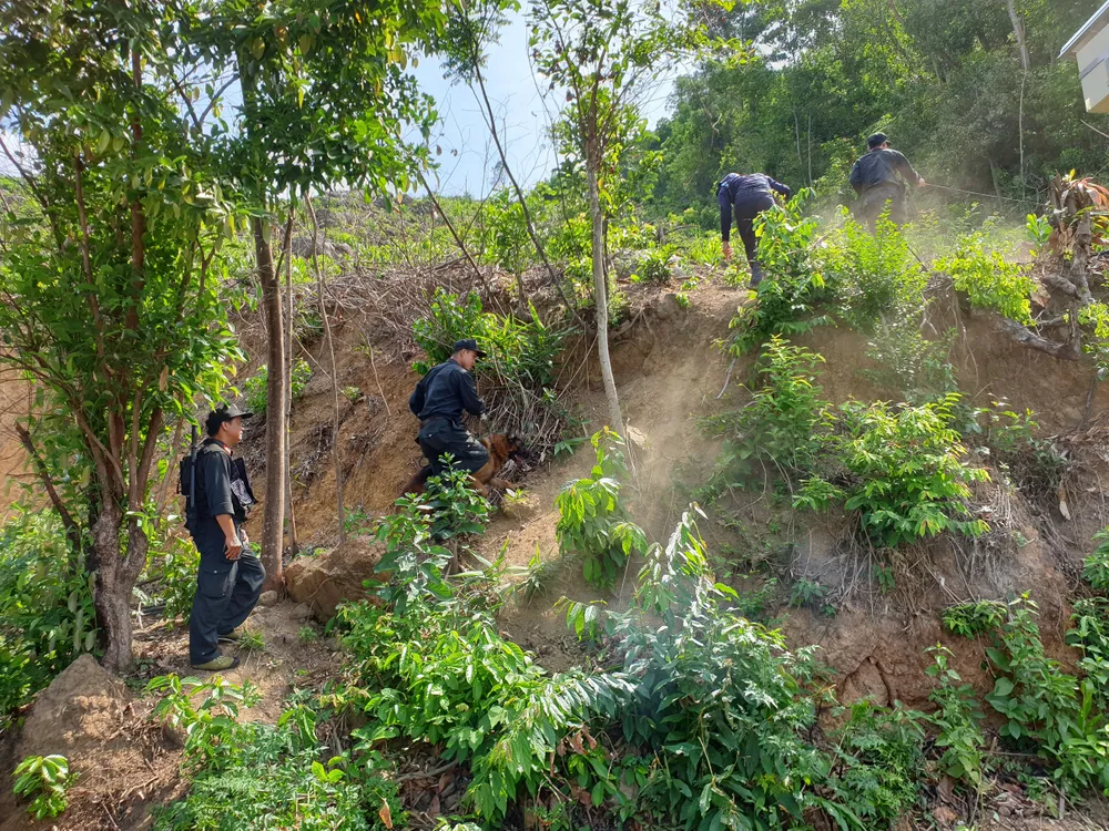 Tung nhiều mũi truy bắt đối tượng đặc biệt nguy hiểm trốn trại giam ảnh 6
