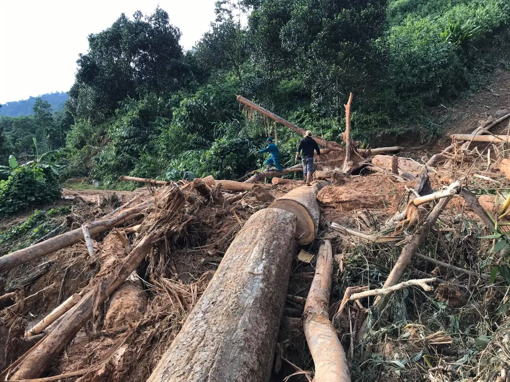 Toàn cảnh thảm họa sạt lở vùi lấp người ở Trà Leng, Trà Vân ảnh 12