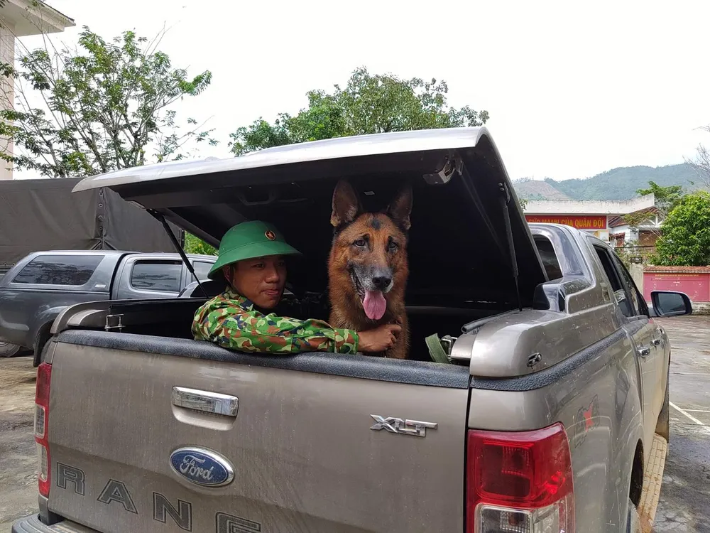 Vụ sạt lở tại Trà Leng, Trà Vân: Tìm thấy thêm 2 thi thể trong số 14 người mất tích ảnh 1