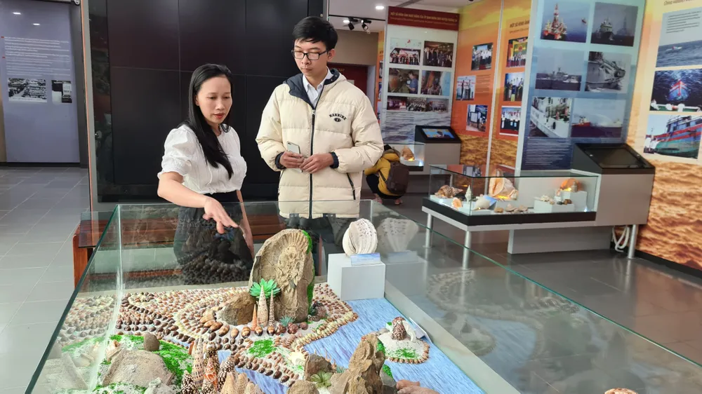 Những vỏ ốc từ quần đảo Hoàng Sa – Trường Sa giữa lòng Đà Nẵng ảnh 8