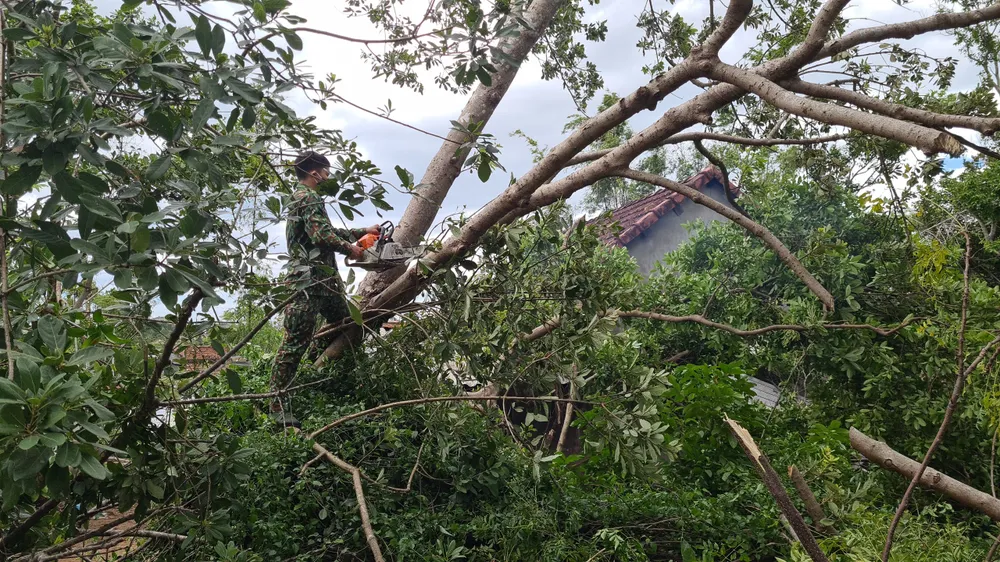 Các địa phương khắc phục hậu quả của bão số 6 ảnh 8 Các địa phương khắc phục hậu quả của bão số 6 ảnh 8