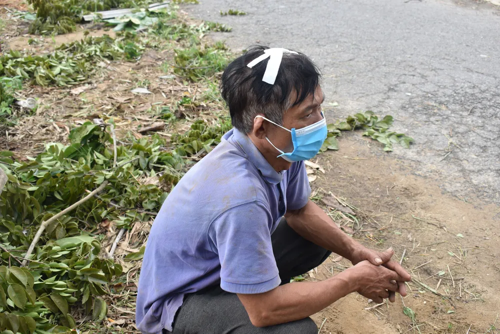 Các địa phương khắc phục hậu quả của bão số 6 ảnh 2 Các địa phương khắc phục hậu quả của bão số 6 ảnh 2