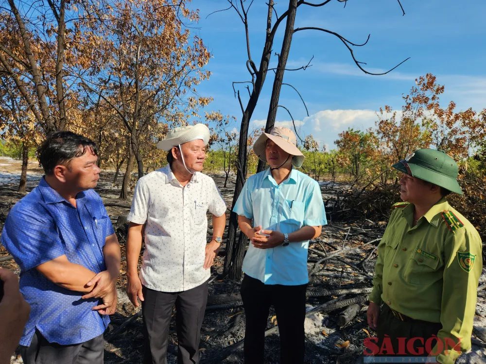 Phó Chủ tịch UBND tỉnh Quảng Nam (thứ 2 từ phải sang) nghe các cấp báo cáo vụ việc. Ảnh: NGUYỄN CƯỜNG Phó Chủ tịch UBND tỉnh Quảng Nam (thứ 2 từ phải sang) nghe các cấp báo cáo vụ việc. Ảnh: NGUYỄN CƯỜNG