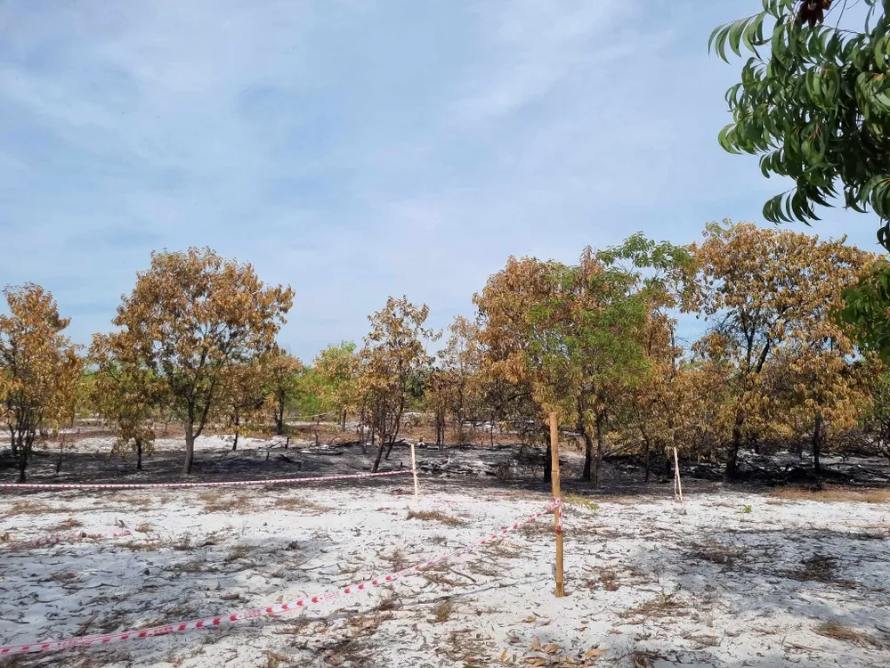 Khu vực được chọn để diễn tập chữa cháy nằm trong rừng phòng hộ thuộc dự án PACSA vùng Đông của tỉnh Quảng Nam