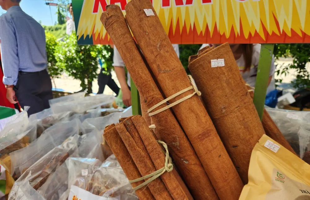 Quế Trà My là sản phẩm tiêu biểu của vùng Cao Sơn Ngọc Quế - Bắc Trà My