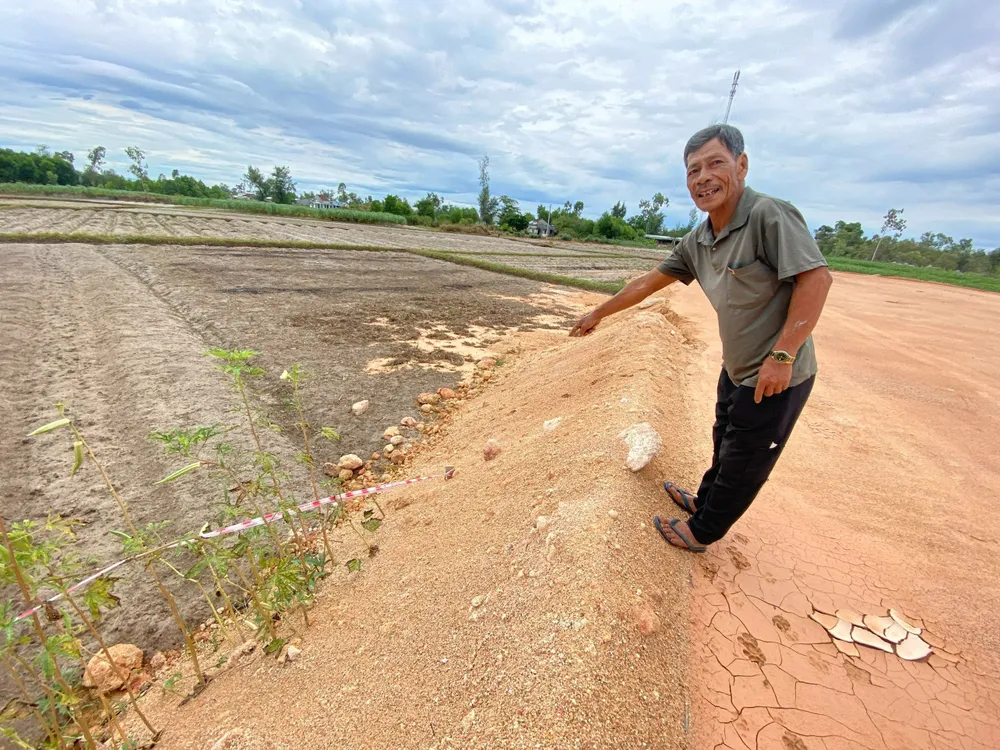Một số loại hoa màu của người dân trồng trên đất của mình bị đơn vị thi công dự án san lấp Một số loại hoa màu của người dân trồng trên đất của mình bị đơn vị thi công dự án san lấp