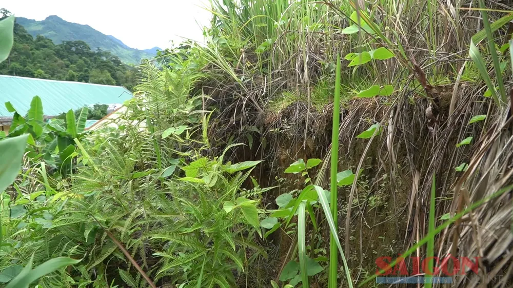 Nhiều vết nứt xuất hiện ngay sau trụ sở các cơ quan của huyện Nam Trà My. Ảnh: NGUYỄN CƯỜNG Nhiều vết nứt xuất hiện ngay sau trụ sở các cơ quan của huyện Nam Trà My. Ảnh: NGUYỄN CƯỜNG