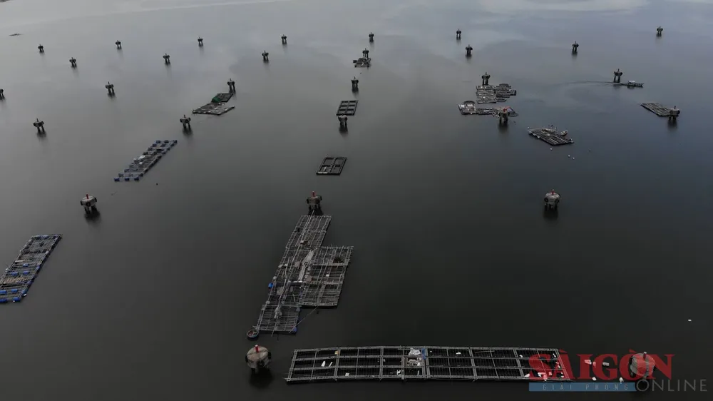 Hàng chục lồng bè nuôi trồng thủy sản chiếm dụng mặt nước trong khu vực âu thuyền An Hòa. Ảnh: NGUYỄN CƯỜNG