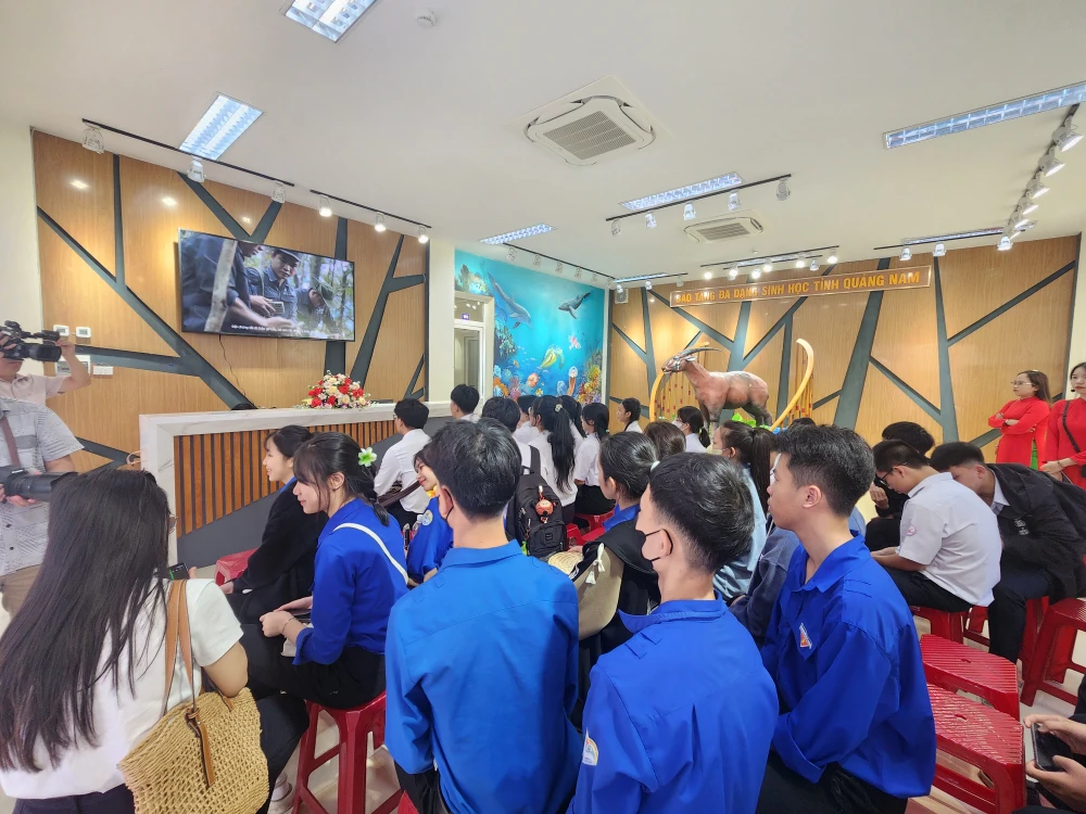 Các em học sinh xem phim tài liệu về công cuộc bảo tồn đa dạng sinh học ở tỉnh Quảng Nam. Ảnh: NGUYỄN CƯỜNG 15-5-bao-tang-da-dang-sinh-hoc-quang-nam-6.jpg