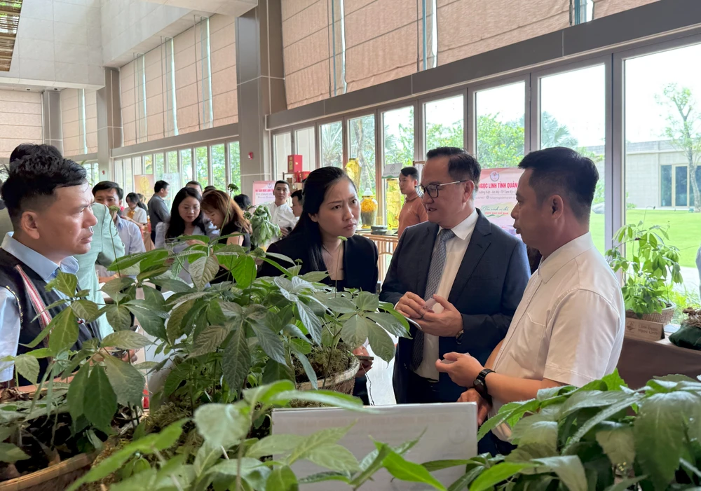 Đại diện Hội sâm Ngọc Linh Quảng Nam quảng bá sản phẩm với các doanh nghiệp du lịch 10-5-hoi-nghi-sam-6.jpg