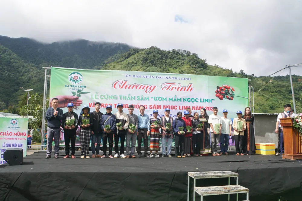 More than 7,000 ginseng seedlings were given to 33 households to grow to escape poverty. 31-7-trao-sam-ngoc-linhj2.jpg