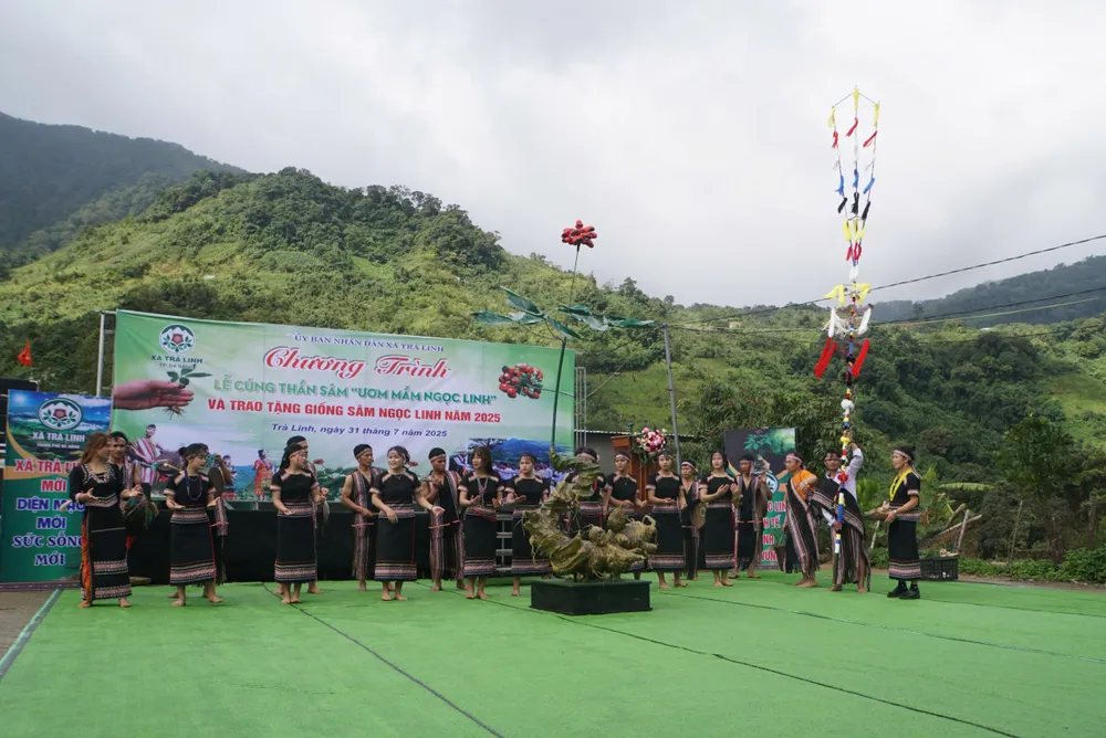 Ginseng worship ceremony in Ngoc Linh commune 31-7-trao-sam-ngoc-linhj3.jpg