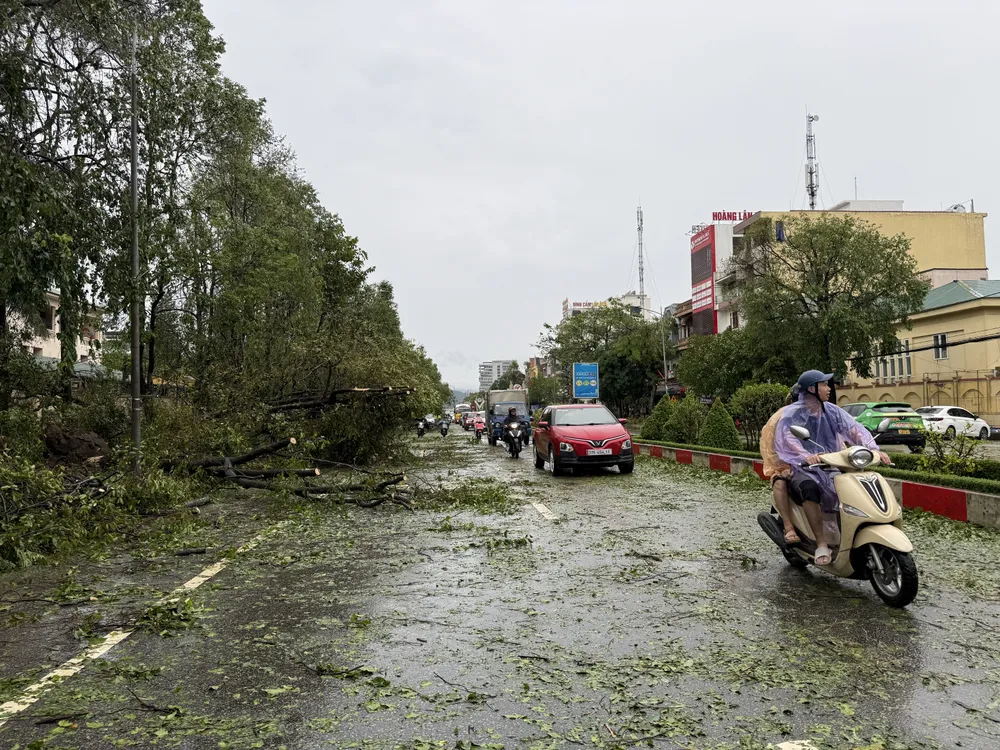 Dọn tạm cây ngã để khôi phục các đoạn đường được thông suốt, góp phần ổn định đời sống người dân sau bão 26-8-nguoi-nghe-an-tat-bat-don-dep (14).JPG