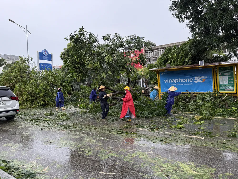 Cắt tỉa cây bị đổ chắn đường đi lại 26-8-nguoi-nghe-an-tat-bat-don-dep (17).JPG