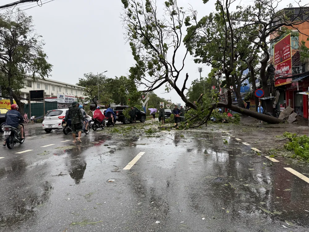 Nhiều cây xanh lớn ngã chắn ngang nhiều tuyến chính tại tỉnh Nghệ An 26-8-nguoi-nghe-an-tat-bat-don-dep (6).JPG