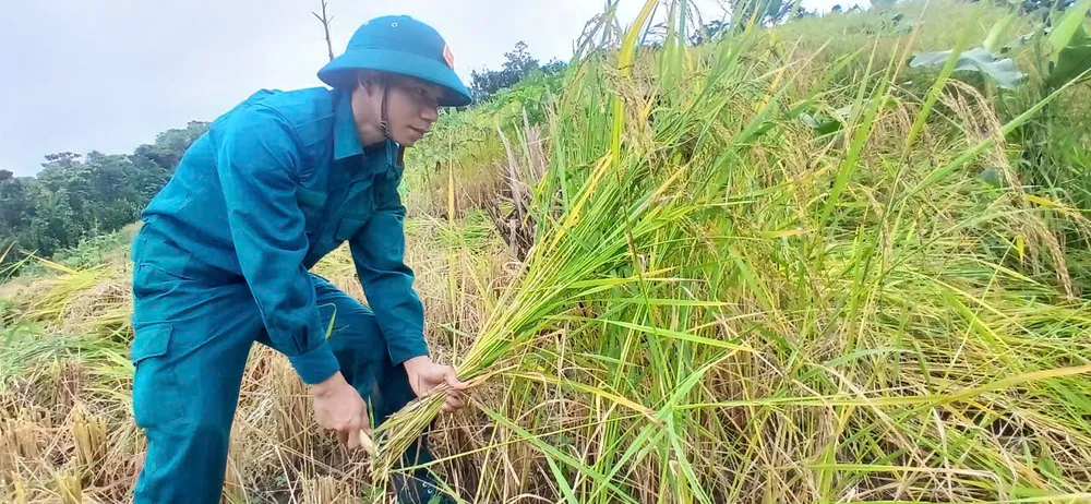 DÂN QUAN TỰ VỆ 2.jpg