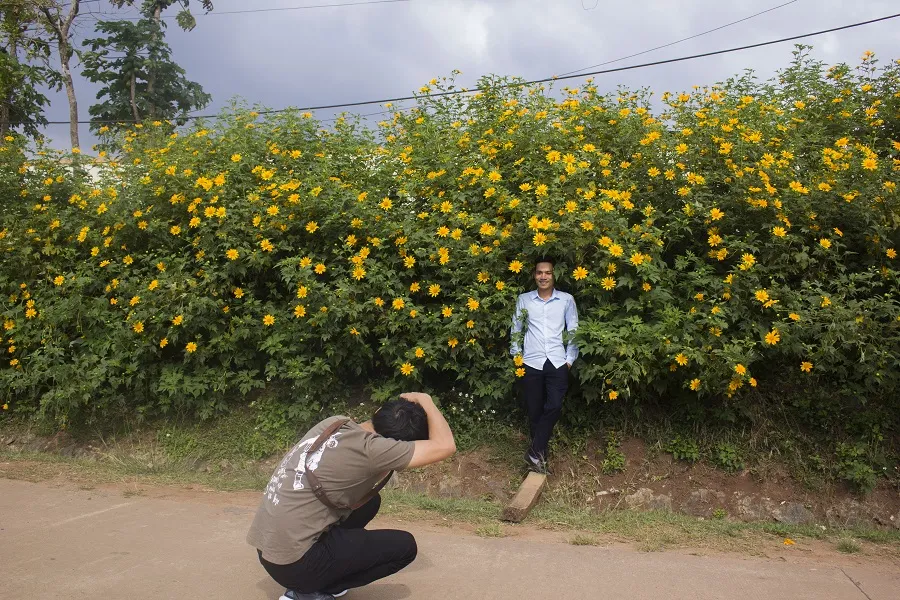 Độc đáo đường hoa dã quỳ nơi miền tây Quảng Trị  ảnh 4