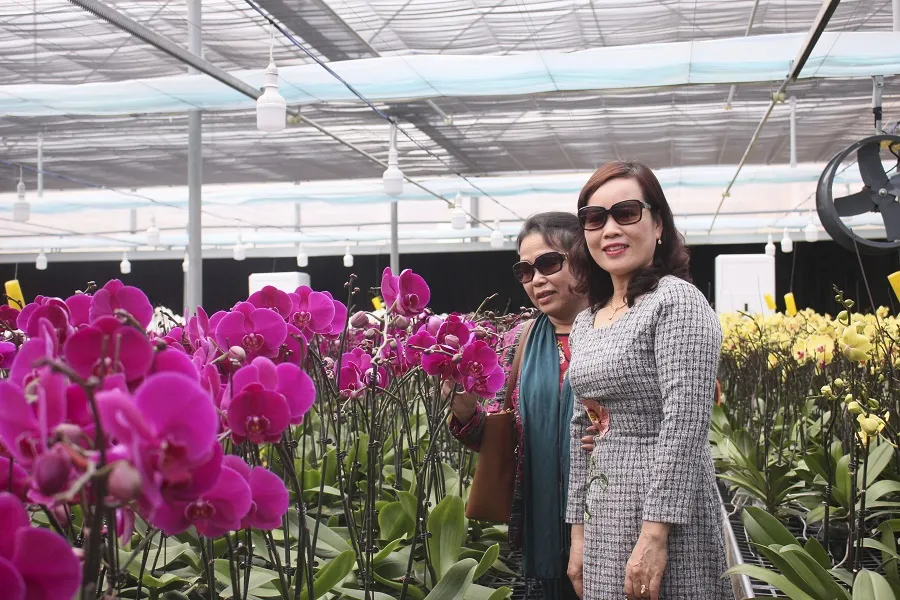 Sa Mù ngàn hoa khoe sắc ảnh 4