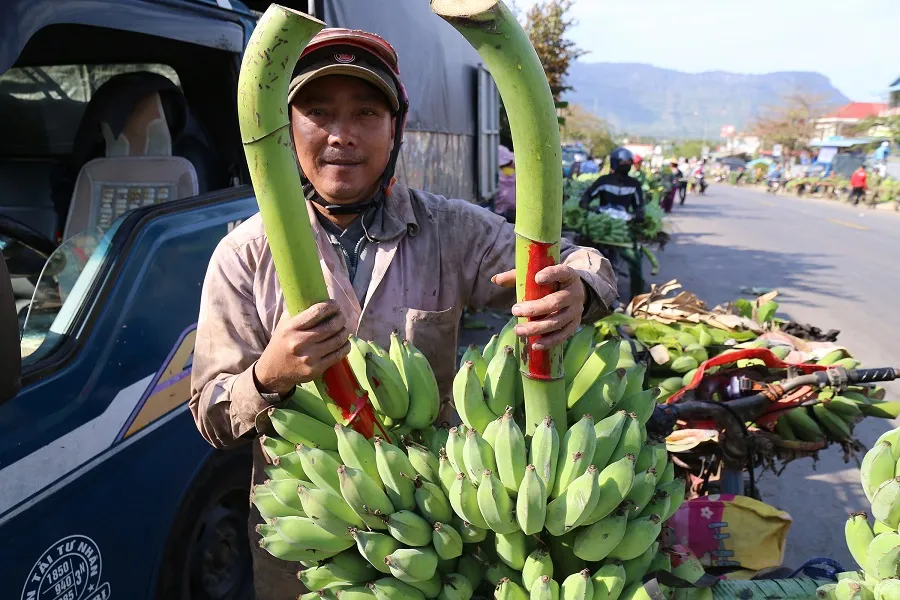 Chợ chuối mật mốc vùng biên lớn nhất miền Trung nhộn nhịp dịp cuối năm ảnh 4