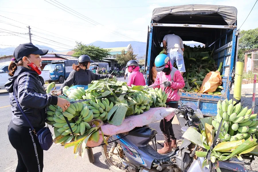 Chợ chuối mật mốc vùng biên lớn nhất miền Trung nhộn nhịp dịp cuối năm ảnh 6