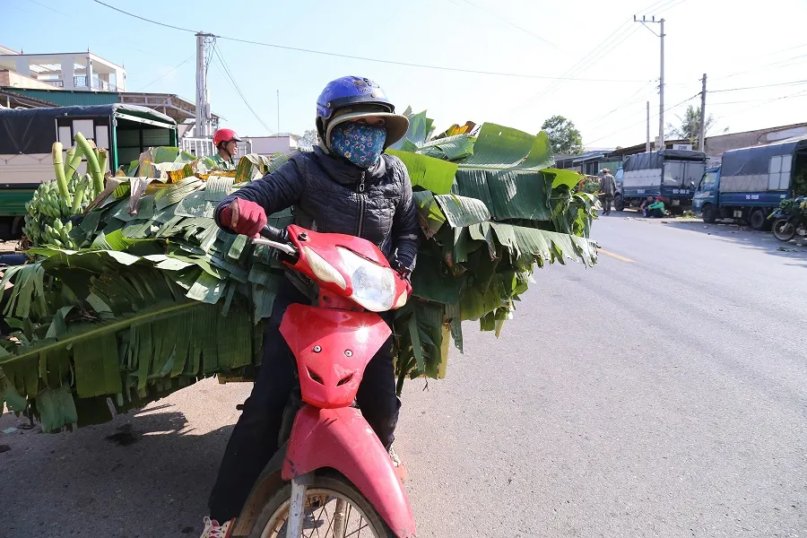 Chợ chuối mật mốc vùng biên lớn nhất miền Trung nhộn nhịp dịp cuối năm ảnh 7