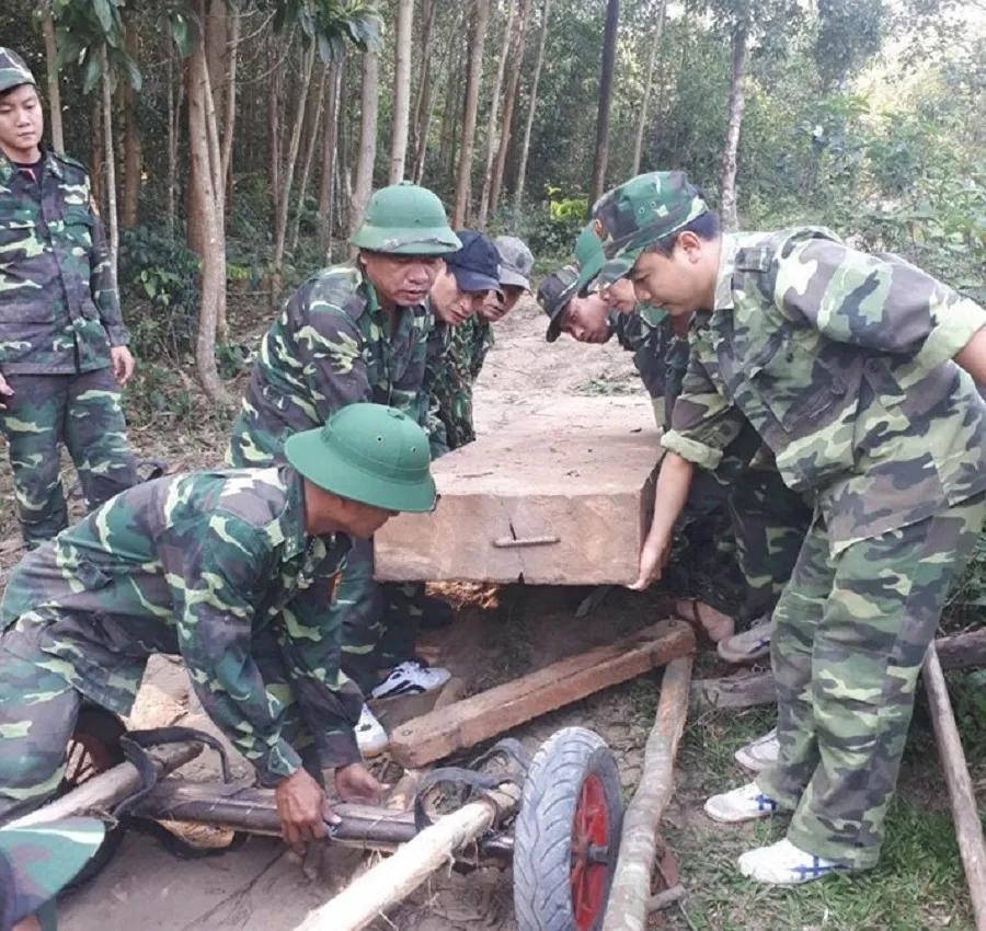 Phát hiện, thu giữ nhiều khối gỗ lậu được cất giấu trong rừng sâu ở Quảng Trị ảnh 1 Phát hiện, thu giữ nhiều khối gỗ lậu được cất giấu trong rừng sâu ở Quảng Trị ảnh 1