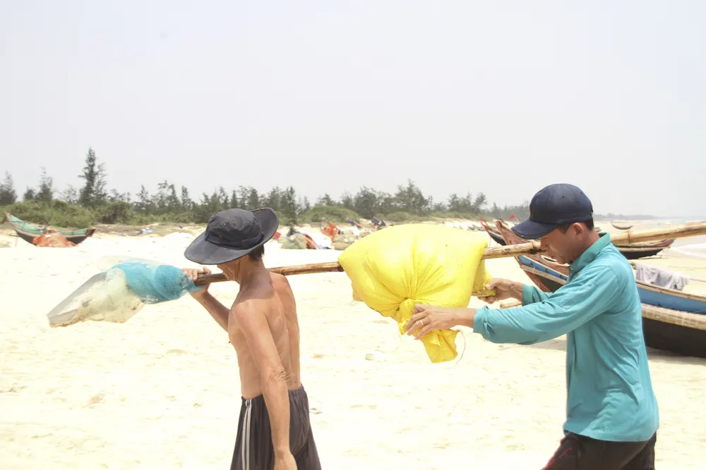 Ngư dân vùng bãi ngang Quảng Trị được mùa ốc ruốc ảnh 11