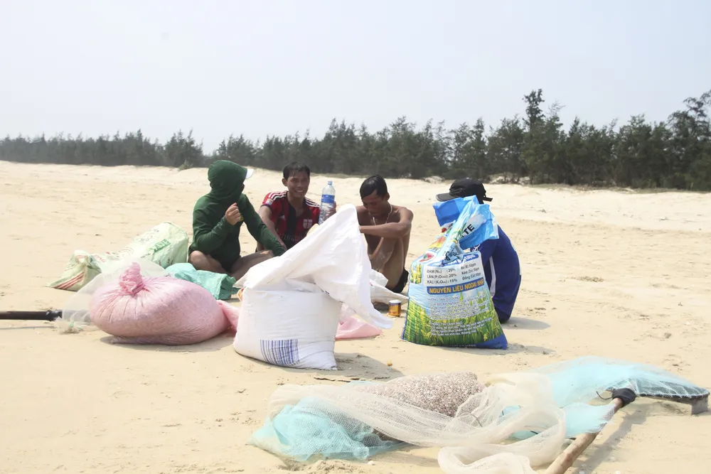 Ngư dân vùng bãi ngang Quảng Trị được mùa ốc ruốc ảnh 12