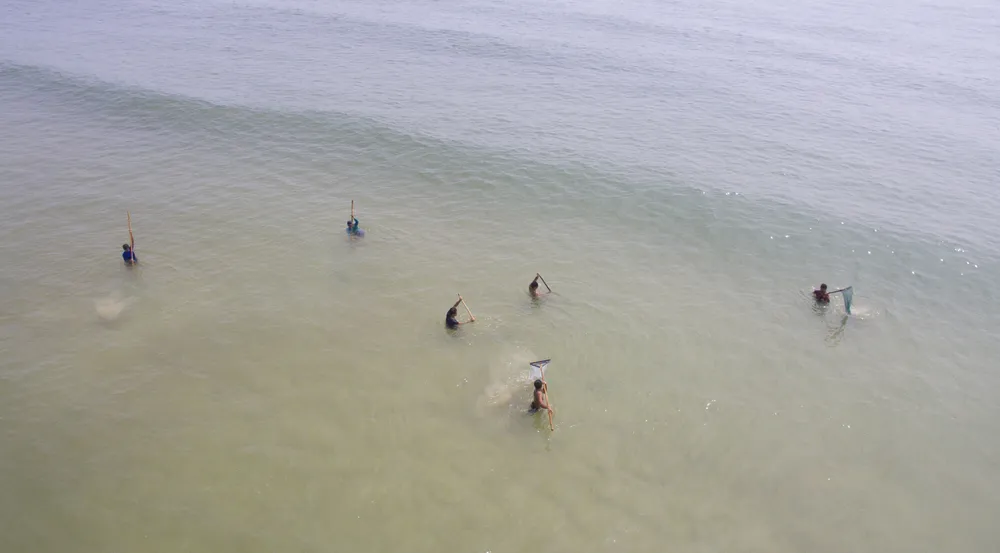 Ngư dân vùng bãi ngang Quảng Trị được mùa ốc ruốc ảnh 3