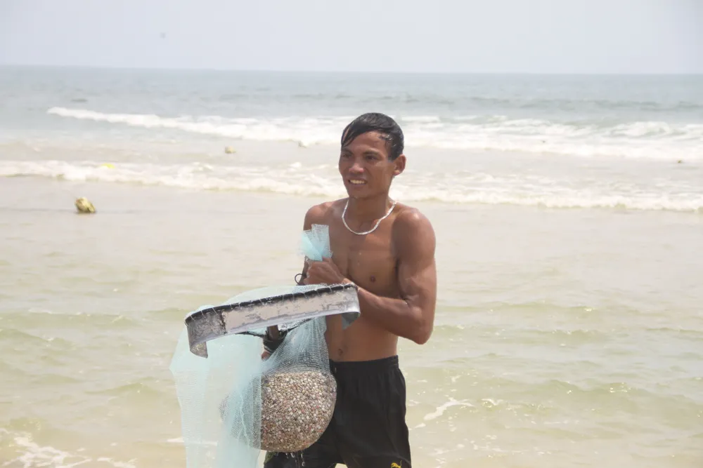 Ngư dân vùng bãi ngang Quảng Trị được mùa ốc ruốc ảnh 4