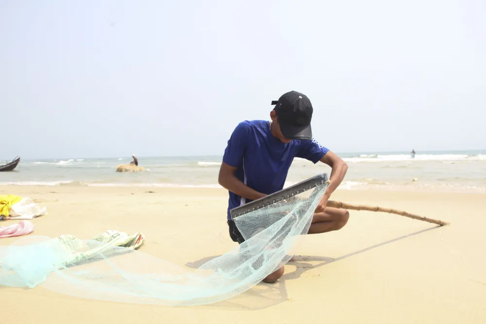 Ngư dân vùng bãi ngang Quảng Trị được mùa ốc ruốc ảnh 1