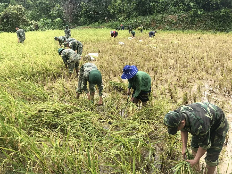 Quảng Trị: Nỗ lực hỗ trợ người dân khắc phục hậu quả bão số 5 ảnh 7 Quảng Trị: Nỗ lực hỗ trợ người dân khắc phục hậu quả bão số 5 ảnh 7