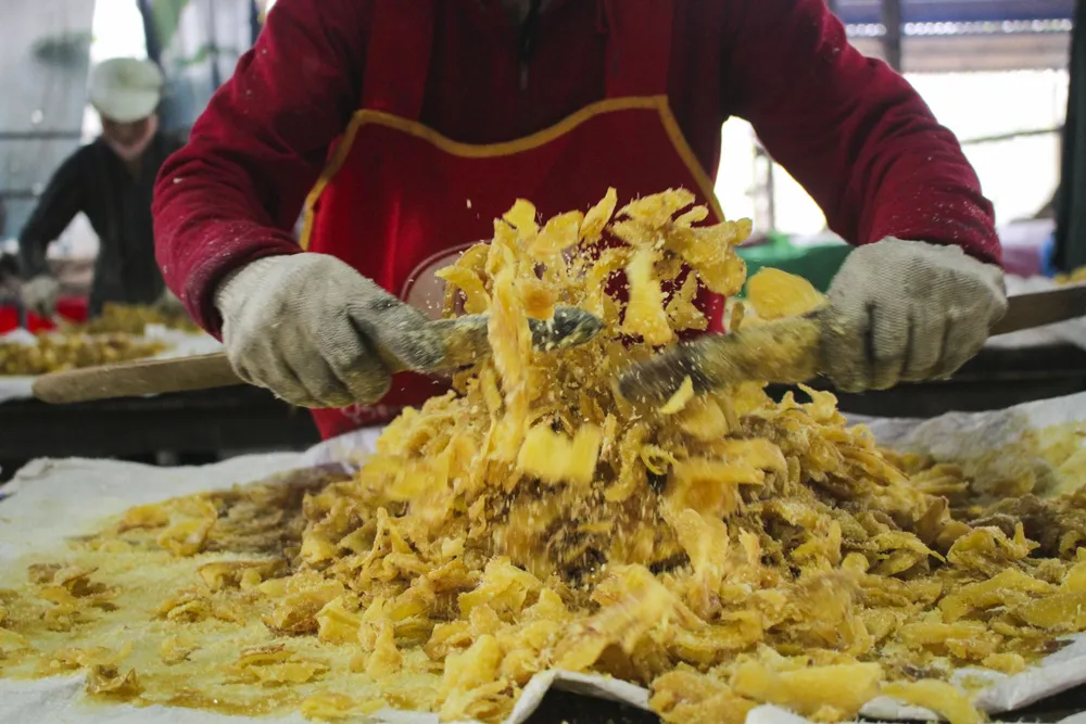 Làng nghề sản xuất mứt gừng Mỹ Chánh tất bật vào vụ tết ảnh 7