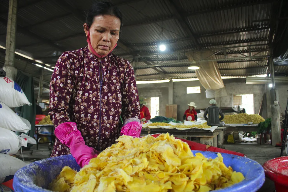 Làng nghề sản xuất mứt gừng Mỹ Chánh tất bật vào vụ tết ảnh 3