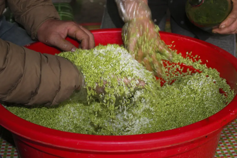 Làng nghề gói bánh chưng, bánh tét xanh như ngọc ảnh 3