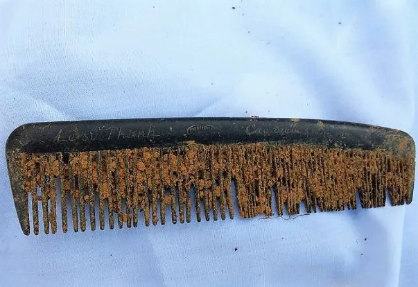 Phát hiện hài cốt liệt sĩ cùng di vật tại Khe Sanh  ảnh 2