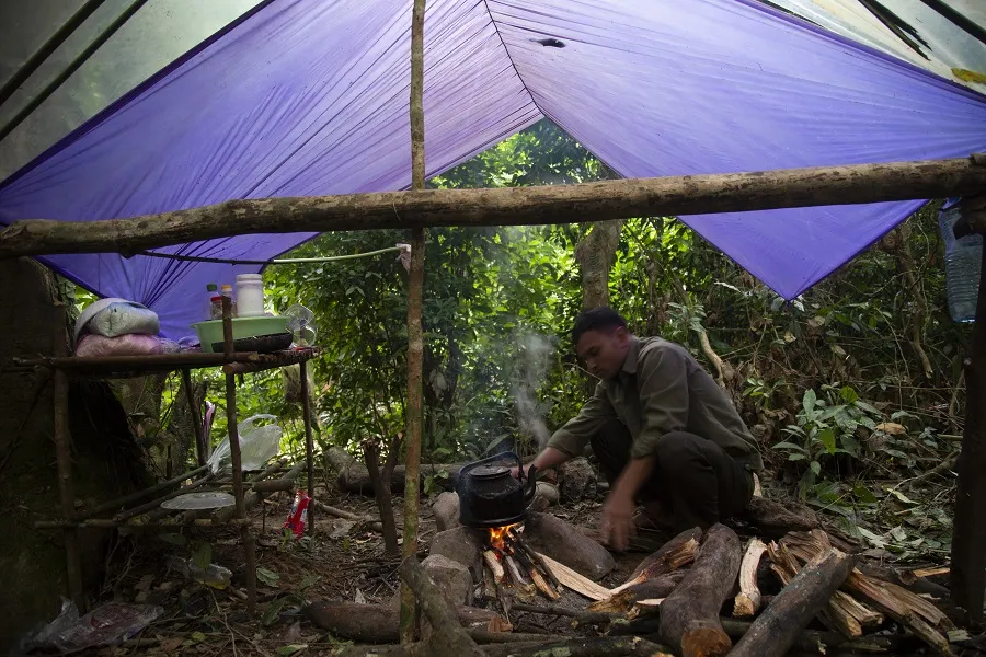 Cận cảnh hiện trường vụ phá rừng đặc dụng ở Quảng Trị ảnh 10