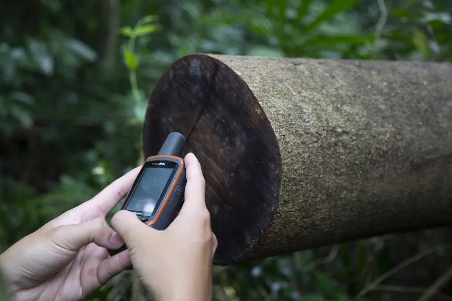 Cận cảnh hiện trường vụ phá rừng đặc dụng ở Quảng Trị ảnh 9