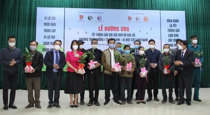 Quảng Trị: Trồng 5,6 triệu cây quế phủ xanh đất trống đồi trọc và tạo sinh kế cho người dân ảnh 2