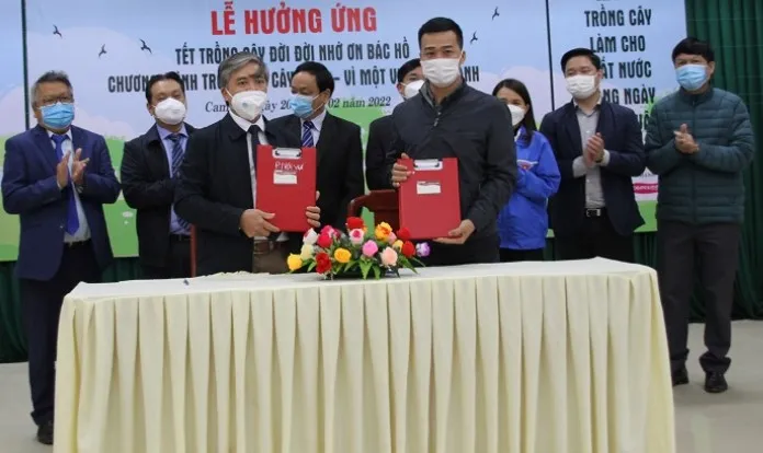 Quảng Trị: Trồng 5,6 triệu cây quế phủ xanh đất trống đồi trọc và tạo sinh kế cho người dân ảnh 1