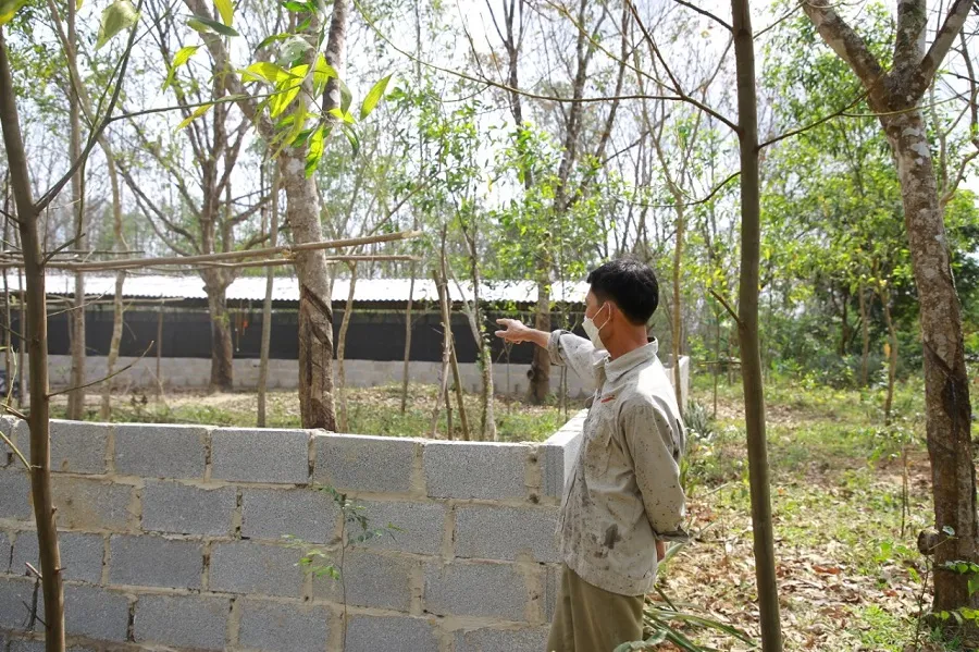 Ồ ạt xây dựng công trình, trồng cây “đón” dự án cao tốc Bắc - Nam ảnh 2