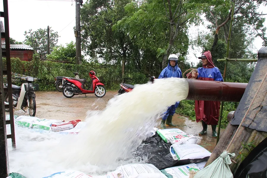 Miền Trung: Dầm mưa cứu lúa và hoa màu khỏi ngập úng ảnh 8