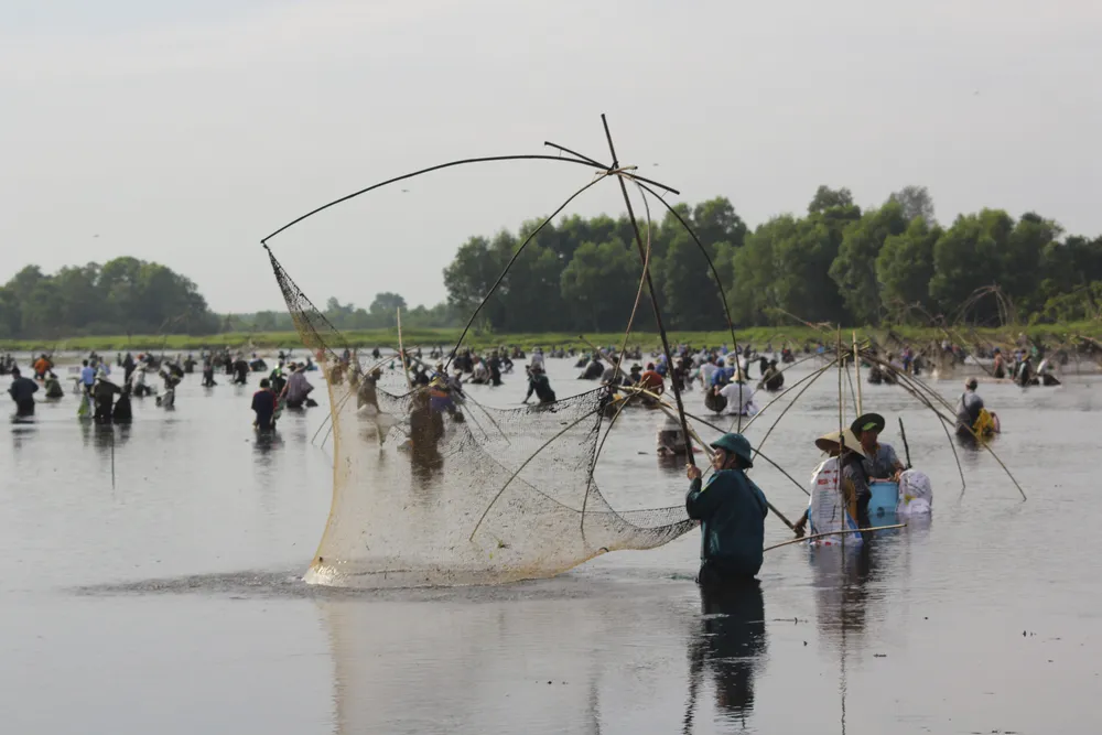 Hàng trăm người bì bõm lội bùn bắt cá ngày hội “phá trằm” ảnh 4