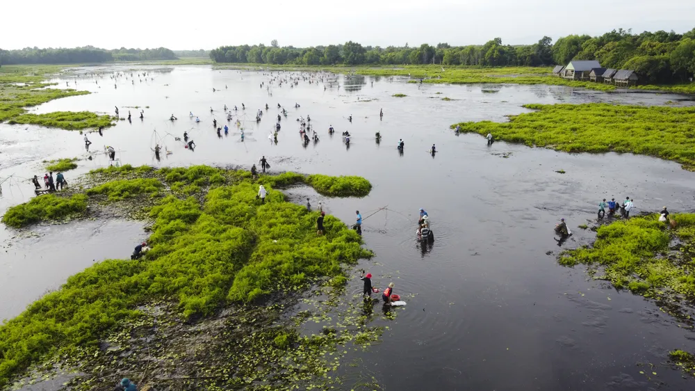 Hàng trăm người bì bõm lội bùn bắt cá ngày hội “phá trằm” ảnh 1