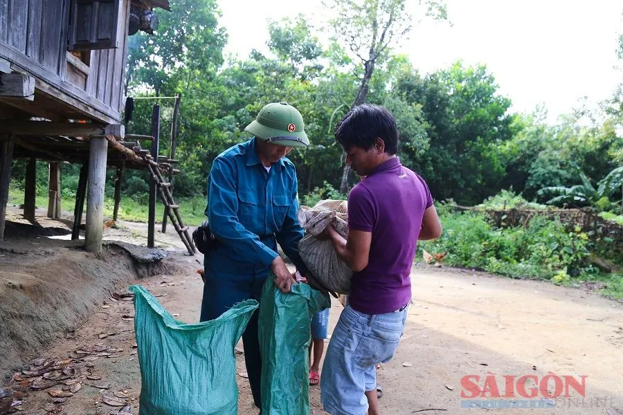 Thương lái tới tận nhà để thu mua quả trẩu cho người dân Thương lái tới tận nhà để thu mua quả trẩu cho người dân