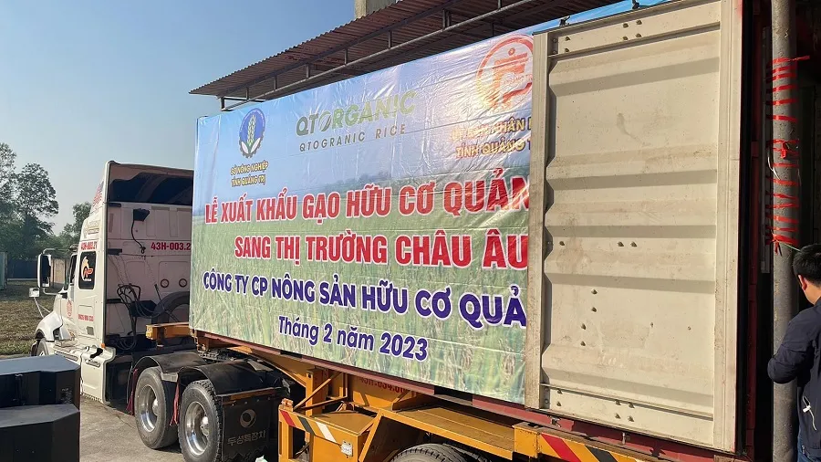 15 tấn gạo hữu cơ được đưa lên container, vận chuyển vào Đà Nẵng để xuất sang châu Âu 15 tấn gạo hữu cơ được đưa lên container, vận chuyển vào Đà Nẵng để xuất sang châu Âu