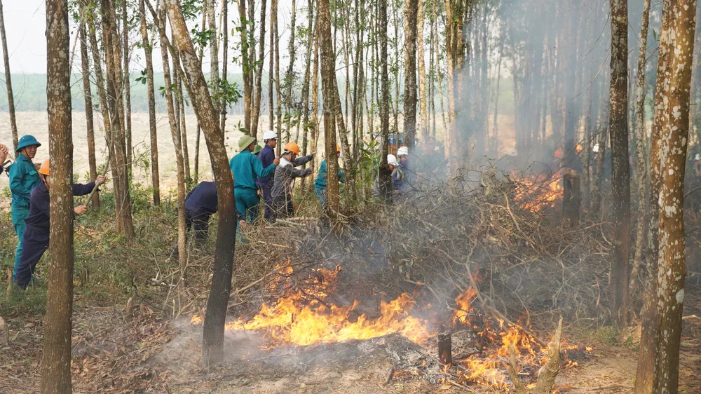 Chương trình thực tập phương án chữa cháy rừng quy mô cấp tỉnh năm nay huy động hơn 300 người cùng 40 phương tiện, thiết bị máy móc của nhiều lực lượng Chương trình thực tập phương án chữa cháy rừng quy mô cấp tỉnh năm nay huy động hơn 300 người cùng 40 phương tiện, thiết bị máy móc của nhiều lực lượng